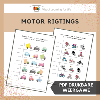 Motor Rigtings