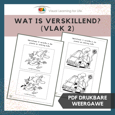 Wat is Verskillend? (Vlak 2)