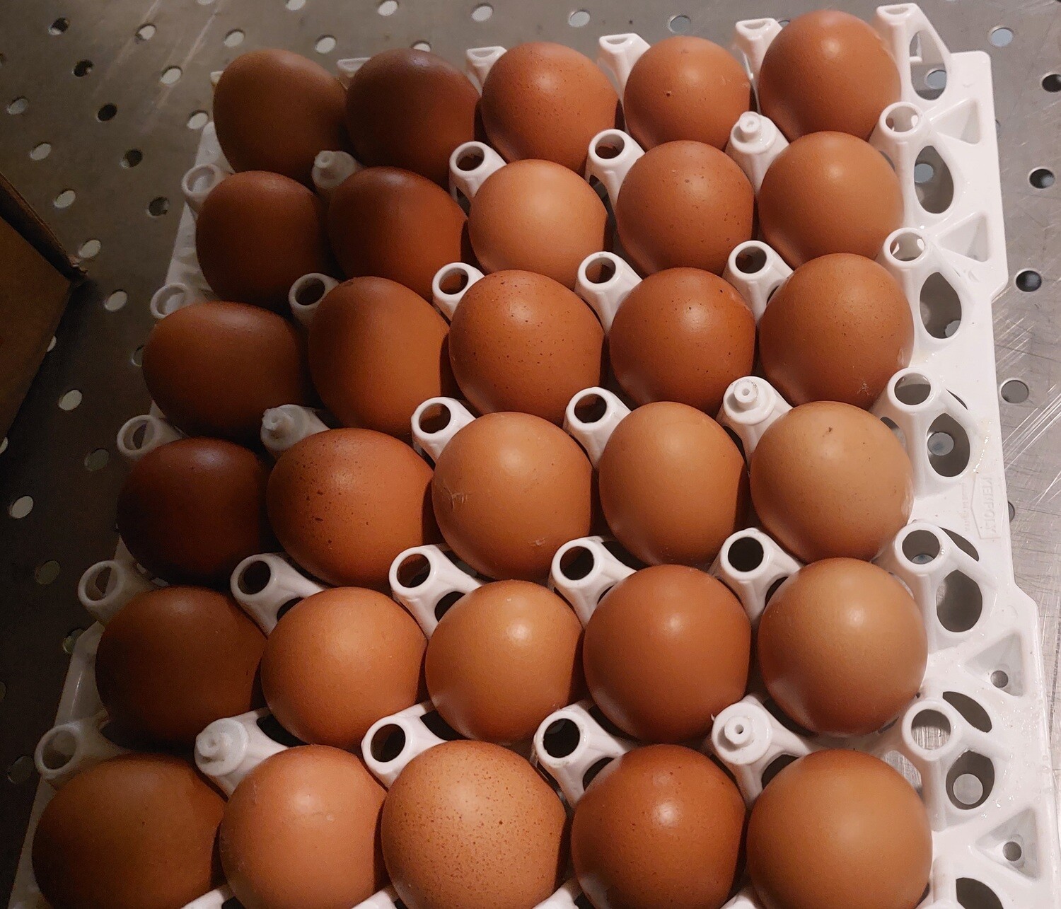 A CRATE OF EGGS (30 PCS)