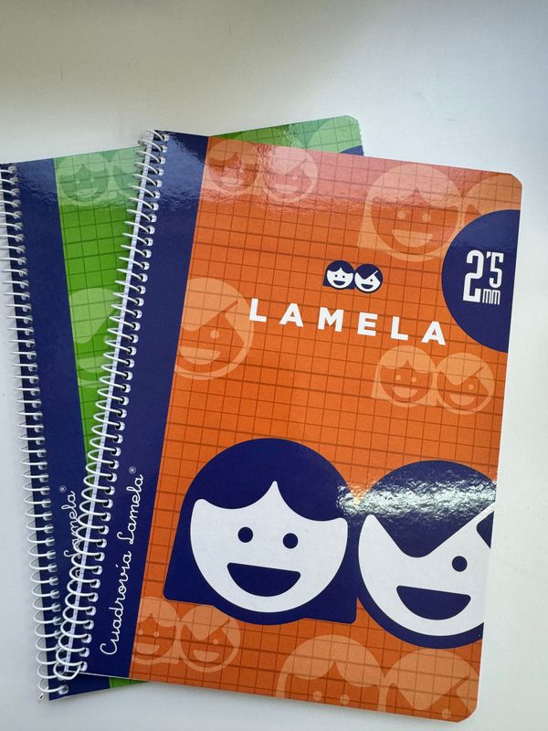 2 cuadernos Lamela con espiral cuadrovía 2,5mm.