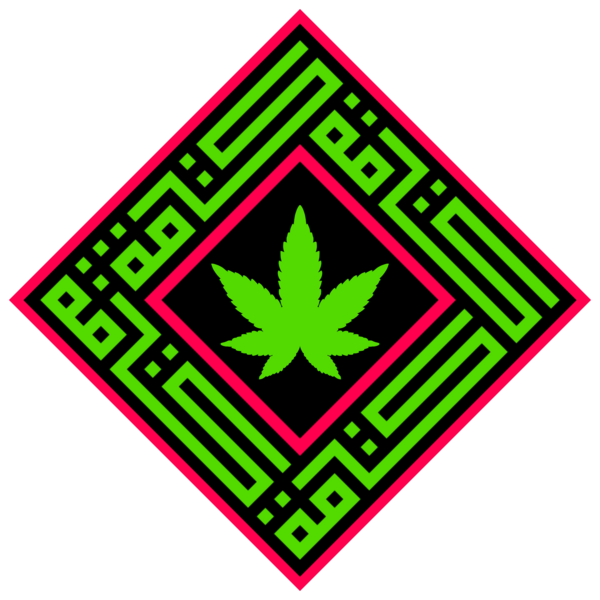 ماركة كيتاما