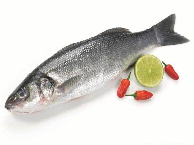 Рыба-Сибас с/м 1*5 кгТурция