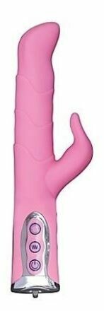 Ravishing Angel Dolphin Vibrator