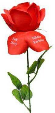 Rose Fleur DAmour