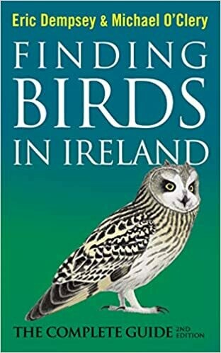 Finding Birds in Ireland: the complete guide