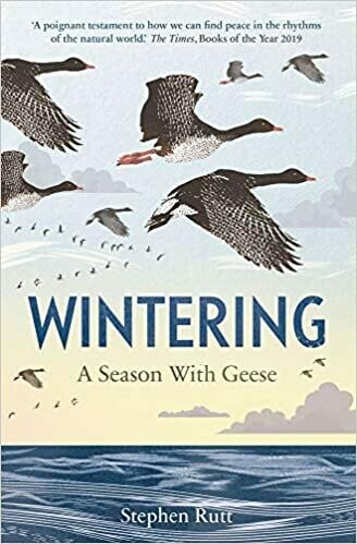 Wintering: a season with geese