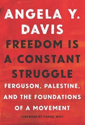 Freedom is a Constant Struggle: Ferguson, Palestine, and the foundations of a movement