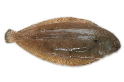 Fresh Dover Sole 392-448g