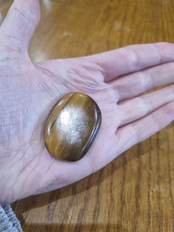 Large Tigers Eye Palm Stone