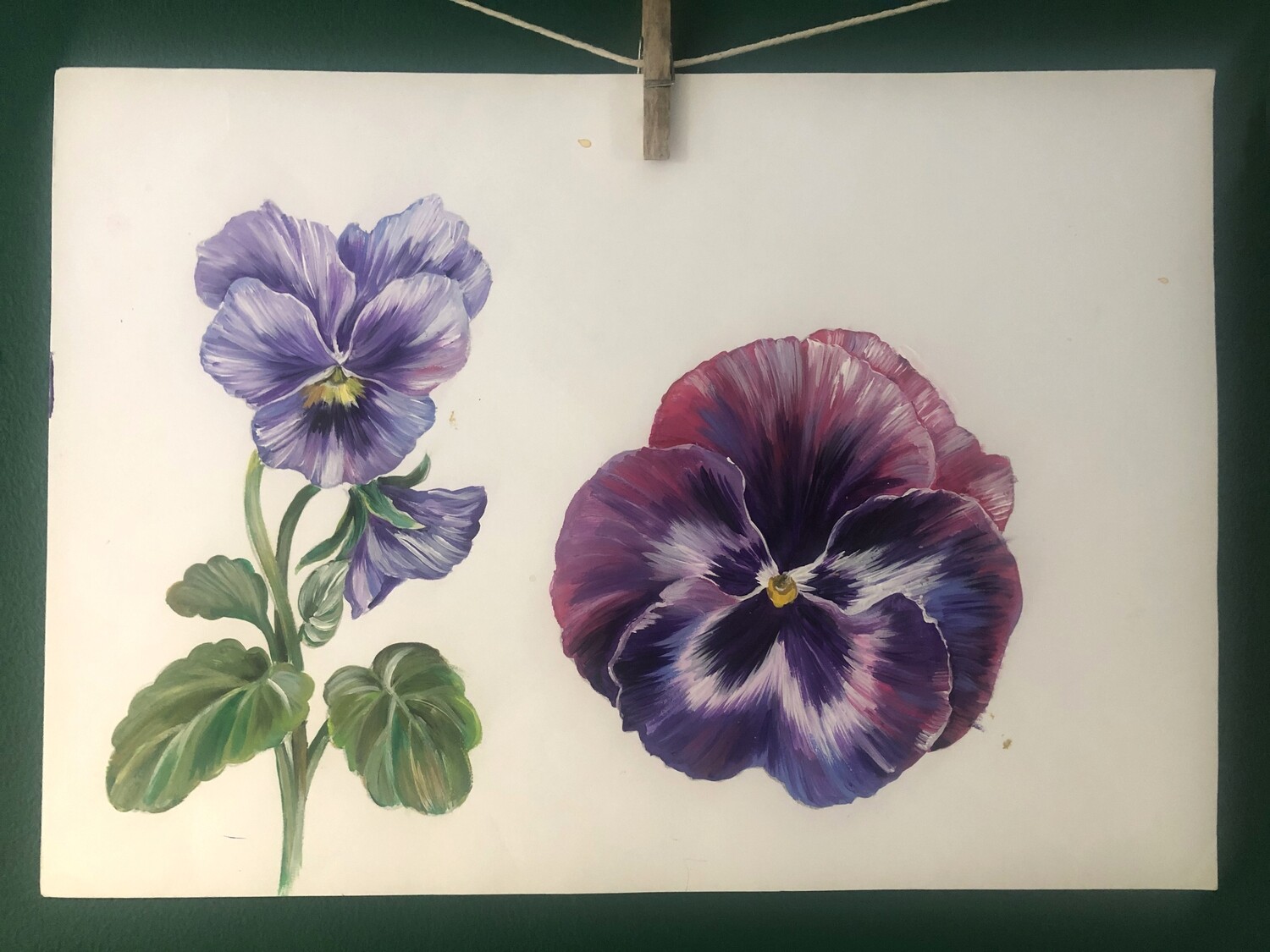 Original Pansy painting by Victoria Sanders Original Pansy painting by Victoria Sanders