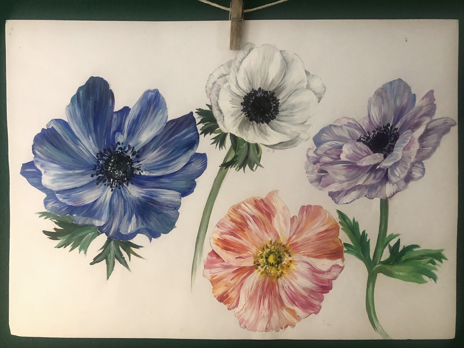 Original Anemone painting by Victoria Sanders Original Anemone painting by Victoria Sanders