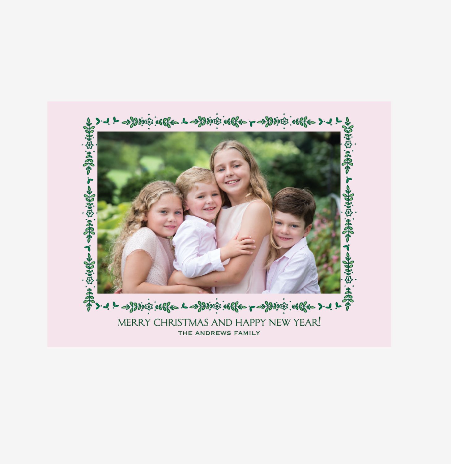 Boxwood Border, Pink