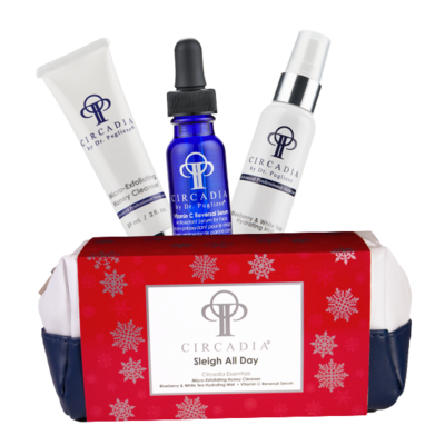 Sleigh All Day Holiday Kit