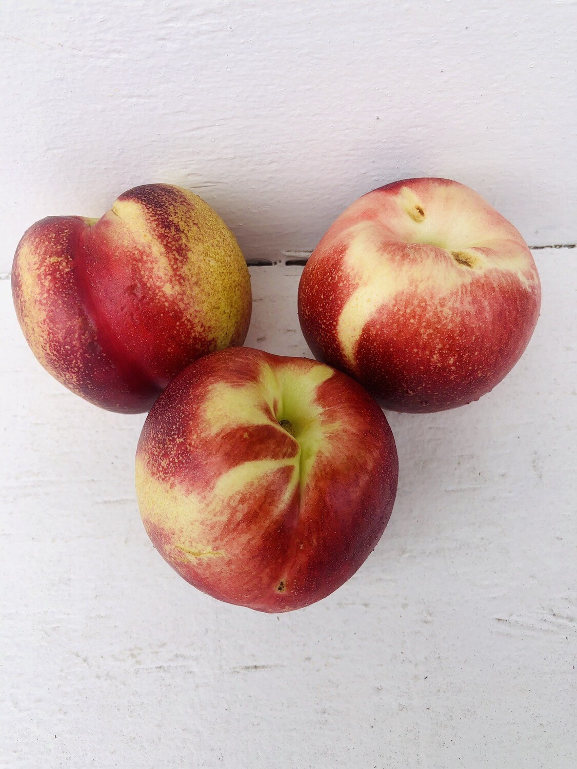 Nectarine White