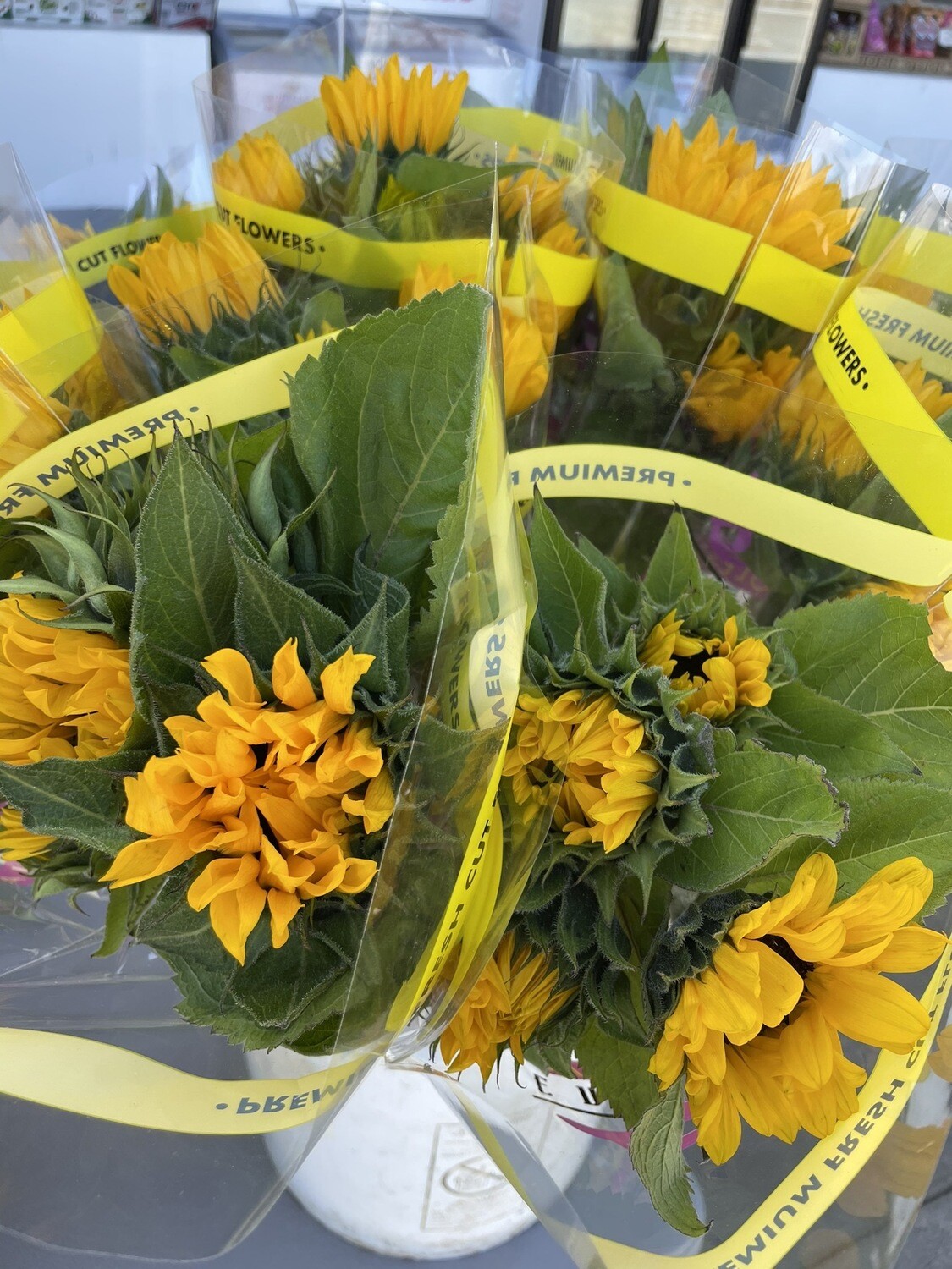 Sunflower Bundle