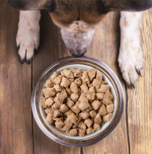 Freeze-Dried Raw