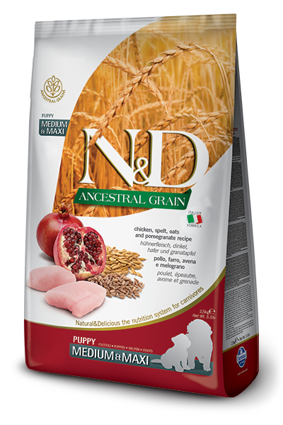 Farmina Puppy N&amp;D Ancestral Grain Chicken Maxi 5.5lb