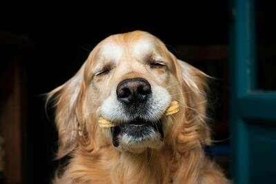 Treats