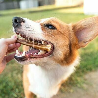 Chews