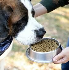 Kibble
