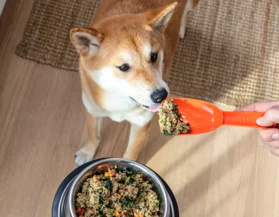 Lightly Cooked