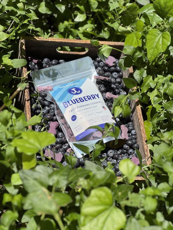 Nauti Dog Blueberry Cookie