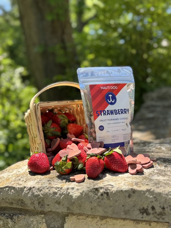 Nauti Dog Strawberry Cookie