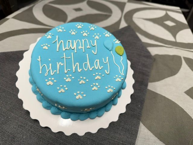 Nauti Dog Sponge Cake 6" - Blue
