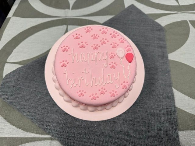 Nauti Dog Sponge Cake 6" - Pink 