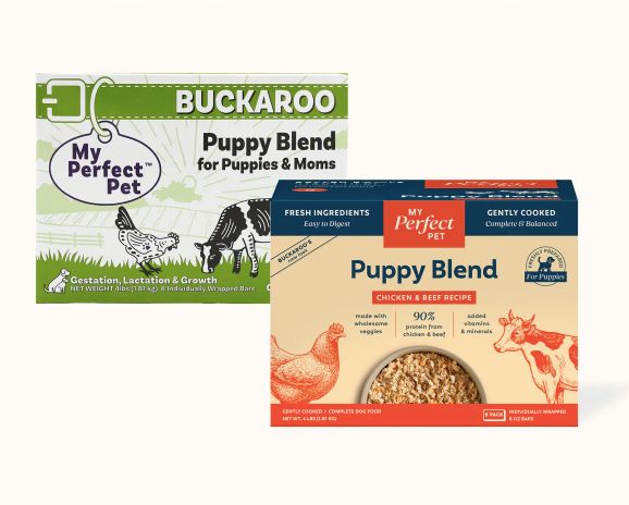 My Perfect Pet FROZEN Puppy Chicken &amp; Beef 4lb - NEW