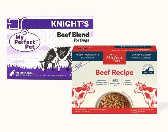 My Perfect Pet Frozen Beef &amp; Vegetable 4lb - NEW