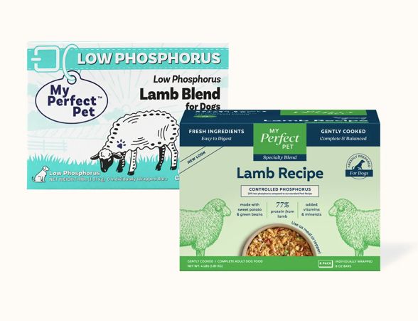 My Perfect Pet Frozen Low Phosphorus Lamb 4lb - NEW