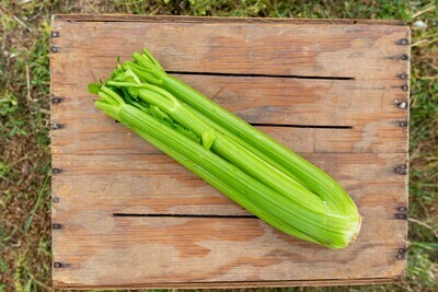 Celery Organic/bunch