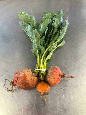 Beets Gold Organic Bunched
