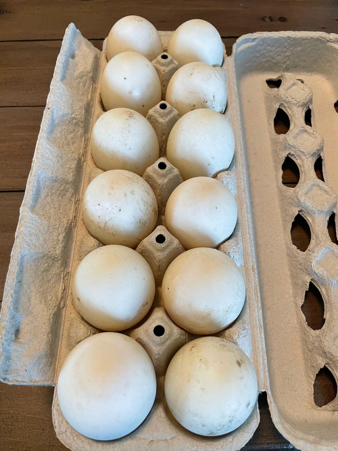Eggs Duck/Dz