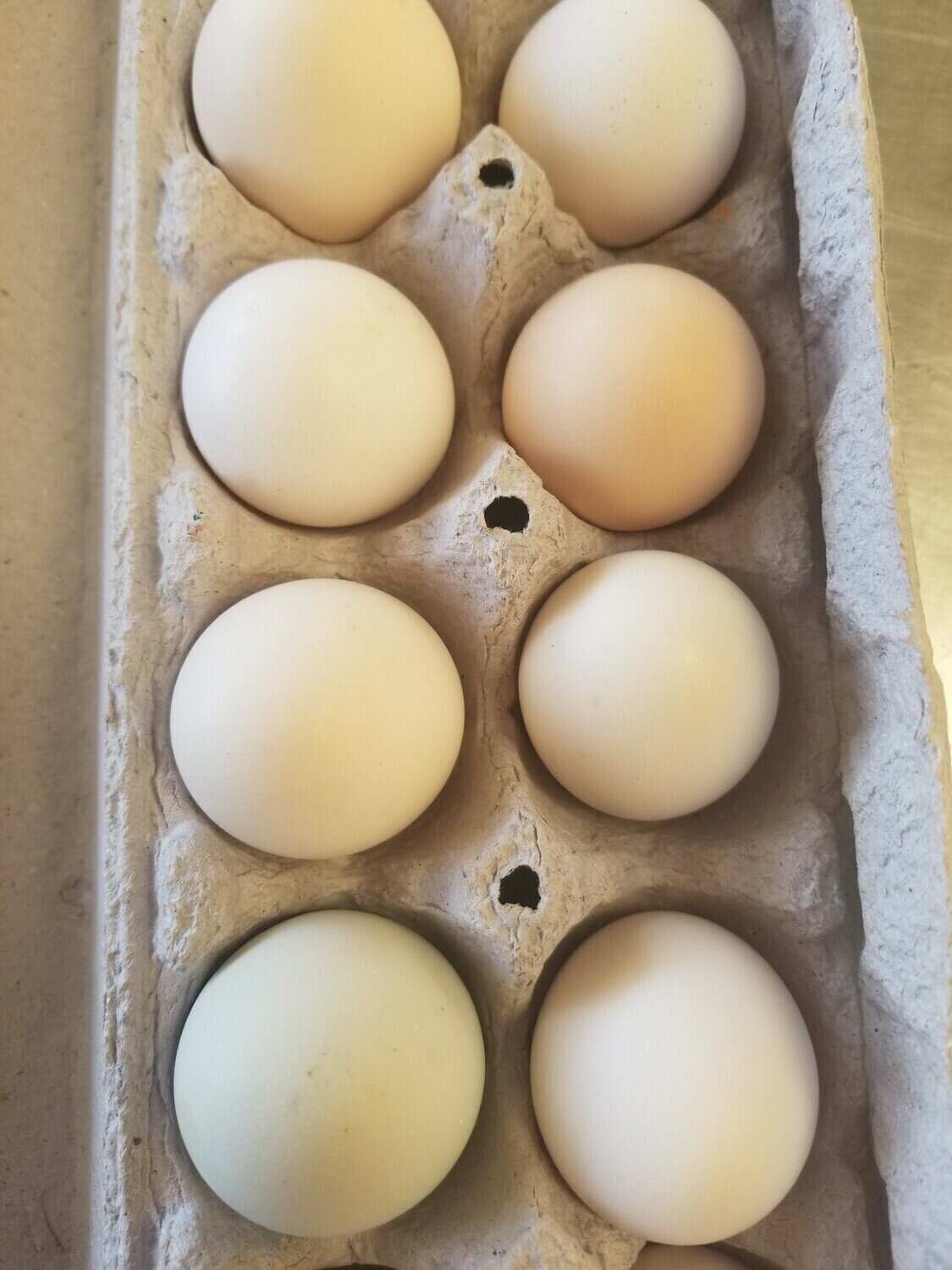 Eggs All Sizes 1 Dz