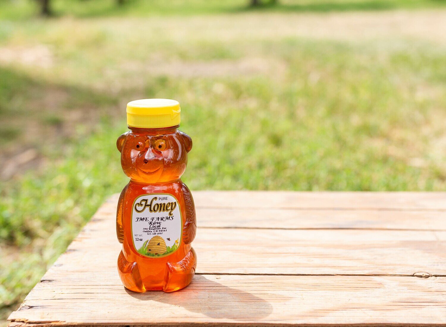 Honey Bear Small Local 12 oz