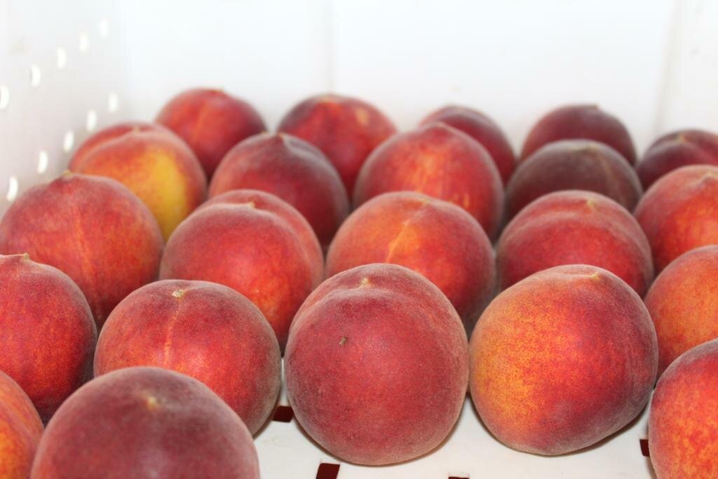 Peaches Yellow Organic/lb