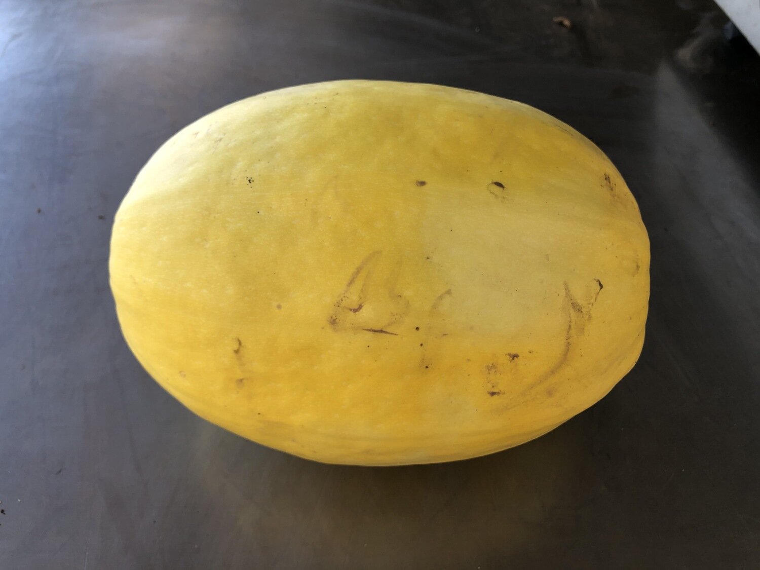 Squash Winter Spaghetti Organic/lb