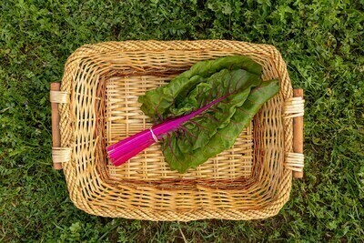 Greens Chard Rainbow Organic/bunch