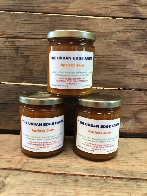 Jam Apricot 9 oz
