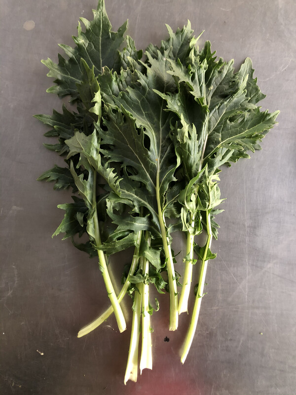 Greens Mizuna Japanese Mustard/bunch