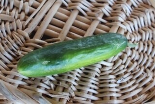 Cucumbers Slicers Fair Trade Organic/Each