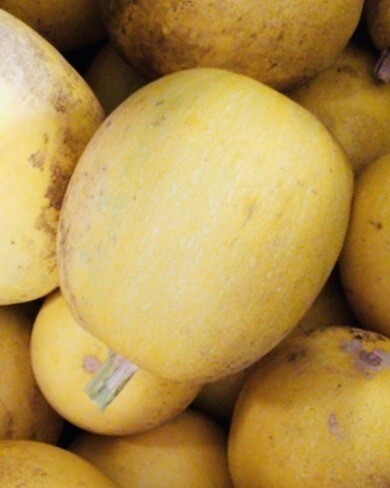 Squash Winter Angel Hair Spaghetti Organic