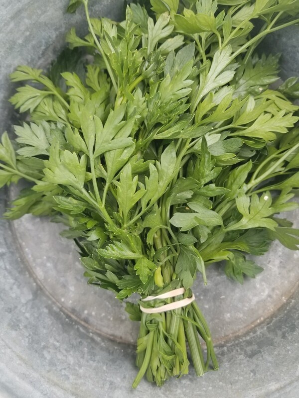 Herb Parsley Organic/bunch