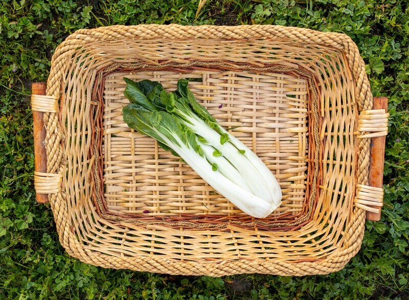 Greens Bok Choy Organic/each