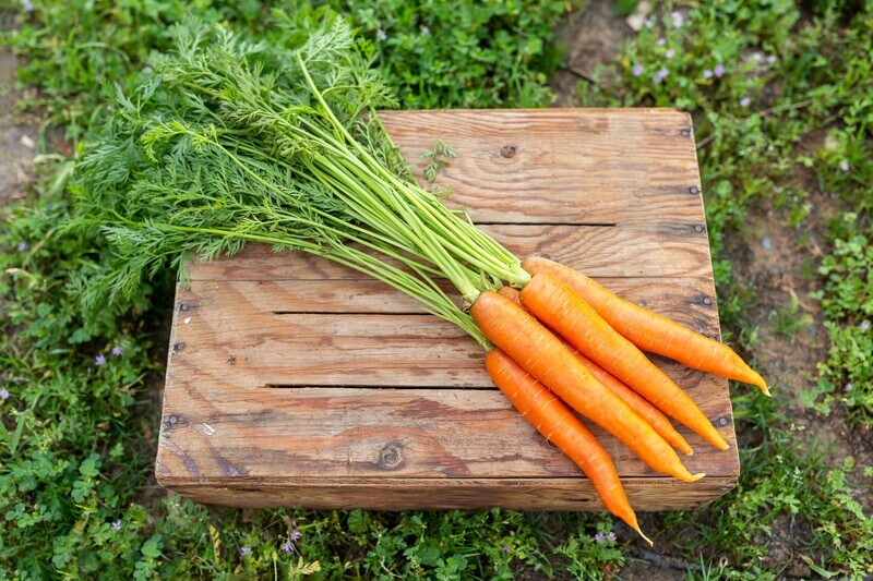 Carrots Organic/Bunch