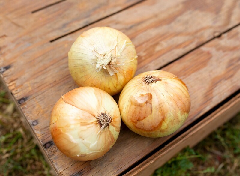 Onions Yellow Sweet Organic/lb
