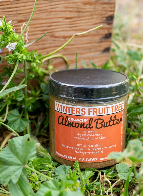 Nut Butter Almond Crunchy 16 oz