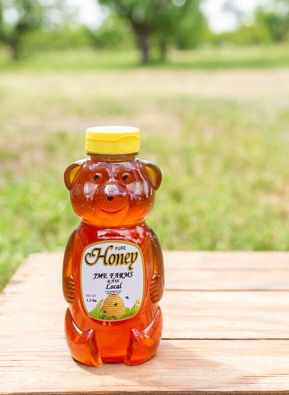 Honey Bear Large Local 1.5 lb